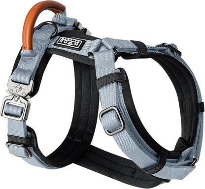 MADE TO ROAM Premium Explorer Harness - Y-Shaped Dog Harness with Adjustable Durable Nylon, Soft Padding, Metal Buckles and Leather Handle for Small, Medium, Large Dogs (Virginia Mountains, Size 4)