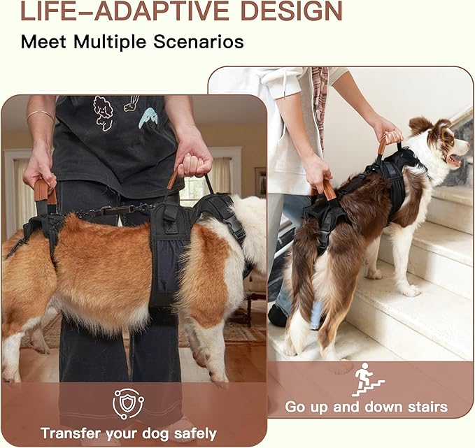 Dog Lift Harness, Full Body Dog Harness with Handle for Lifting, Front/Back Leg Support, Prevent Chafing Pee-Able Design, 2-in-1 Detachable Dog Assist Harness for Senior Disabled Dogs Up to 55lb