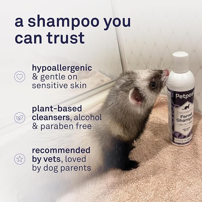 Petpost | Ferret Shampoo. Deodorizing & Moisturizing Formula for Ferrets and Small Animals. Supports Healthy Skin & Coat. 8 oz