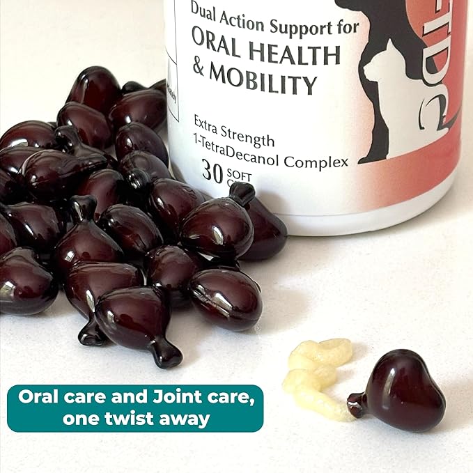 1TDC WorksSoWell Dual Action Hip and Joint Supplement for Dogs & Cats - for Large & Small Breed - Great for Oral Health, Stamina Recovery & Arthritis Pain Relief -30 ct