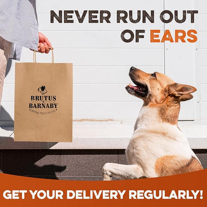 BRUTUS & BARNABY Cow Ears for Dogs – Whole Ears 12 ct, Thick Cut, Grass-Fed Angus Beef, All-Natural No-Rawhide Dog Treat Alternative