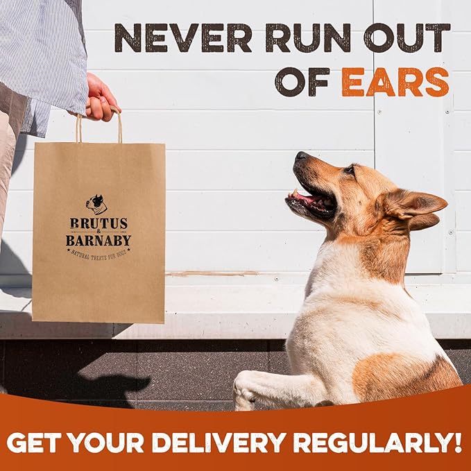 BRUTUS & BARNABY Cow Ears for Dogs – Whole Ears 30 ct, Thick Cut, Grass-Fed Angus Beef, All-Natural No-Rawhide Dog Treat Alternative