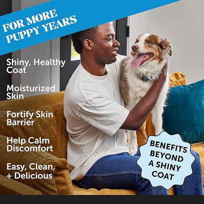 Pet Honesty Dog Skin and Coat Supplement with Salmon Oil for Dogs - Allergy Itch Relief + Skin & Coat Health, Dog Food Topper Bone Broth with Salmon Oil, Collagen, Biotin + Vitamin E (12 oz)