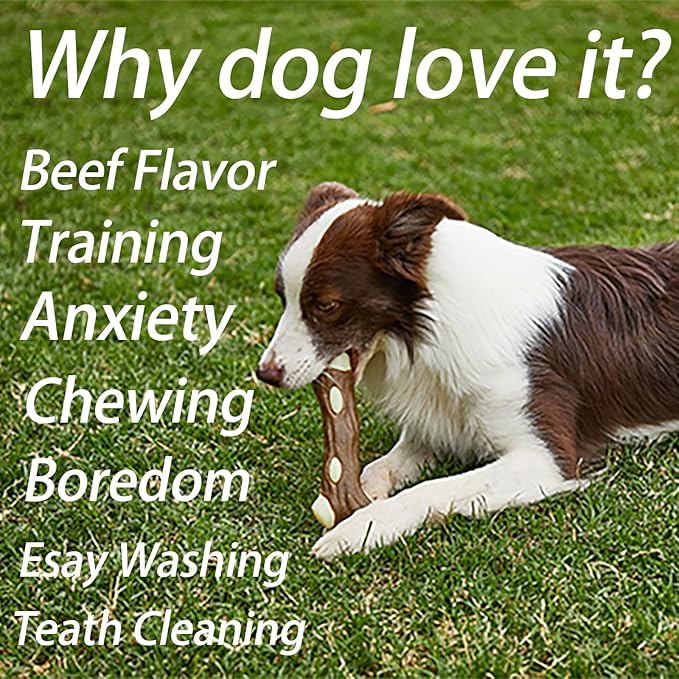 BETTEPROD Dog Bones Chew Toys for Aggressive Chewers, 3 Pack Real Beef Flavor,Indestructible Dog Teething Chew Toys for Large/Medium/Small Puppies Breed,Tough Pet Toy with Nylon