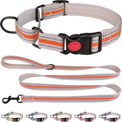 Martingale Collar for Dogs,Soft Neoprene Padded Reflective Martingale Collar and Leash Set Safety Buckle Nylon Martingale Dog Collar for Medium Dogs(Orange&M)