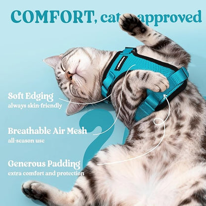 rabbitgoo Cat Harness and Leash for Walking, Escape Proof Soft Adjustable Vest Harnesses for Cats, Easy Control Breathable Reflective Strips Jacket, Teal, M