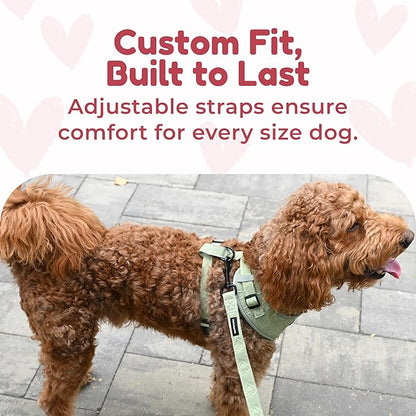 No-Pull, No-Choke Dog Harness & Leash Set – Stylish & Fun – Lightweight, Breathable Neoprene – Unique Heart Pattern – Adjustable for Large Dogs (Harness Leash Set-Green, L-Large)
