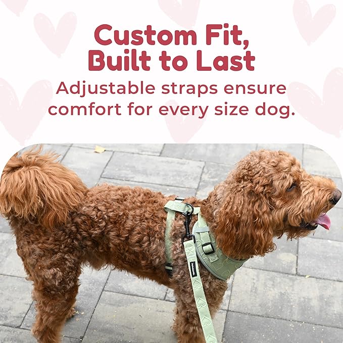 No-Pull, No-Choke Dog Harness & Leash Set – Stylish & Fun – Lightweight, Breathable Neoprene – Unique Heart Pattern – Adjustable for Extra Small Dogs (Harness Leash Set-Green, X-Small)
