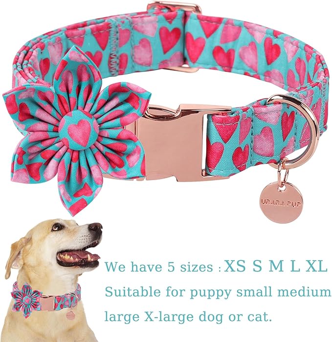 UP URARA PUP Valentine Dog Collar with Flower, Heart Flower Collar for Puppy Girl Boy Dog or Cat, Comfortable Dog Collar Flower with Durable Metal Buckle, Cute Pet Collar, L, Neck 16-24in