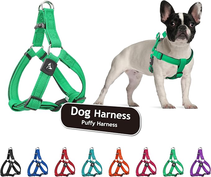 Kruz No Pull Dog Harness (Chest 26”-38”, Weight 44-88 lbs) Heavy-Duty Pet Harness for Large Breeds, Ultra-Comfort Fit, Lifetime Durability, Adjustable Dog Harness No Pull Design (Mint Green, Large)