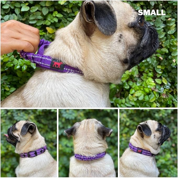 Tuff Pupper Heavy Duty Dog Collar with Handle | Ballistic Nylon Heavy Duty Collar | Padded Reflective Dog Collar with Adjustable Stainless Steel Hardware | Convenient Sizing for All Breeds