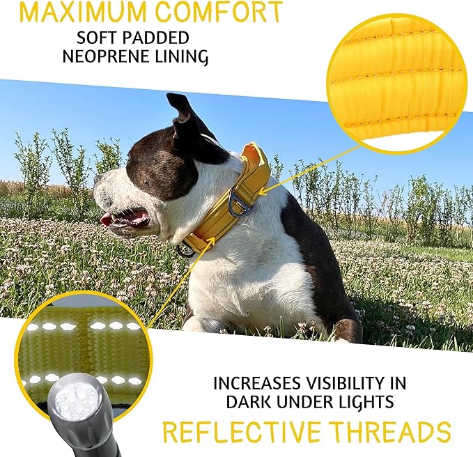 ADITYNA Heavy Duty Dog Collar for Extra-Large Dogs - Reflective Yellow Collar with Handle for Training, and Walking - Wide, Thick, Tactical, Soft Neoprene Padded