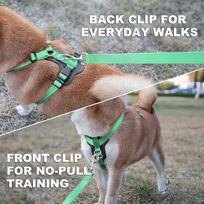 Plutus Pet Adjustable No Pull Dog Harness with Leather Accents, Heavy Duty Reflective Nylon Vest for Training, Hiking, Easy Walk Harness for Small, Medium, Large Dogs (Teal, L)