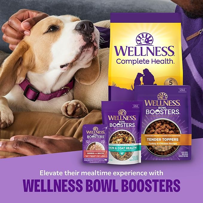 Wellness Complete Health Small Breed Dry Dog Food with Grains, Natural Ingredients, Made in USA with Real Turkey, For Dogs Up to 25 lbs. (Puppy, Turkey, Salmon & Oatmeal, 4-Pound Bag)