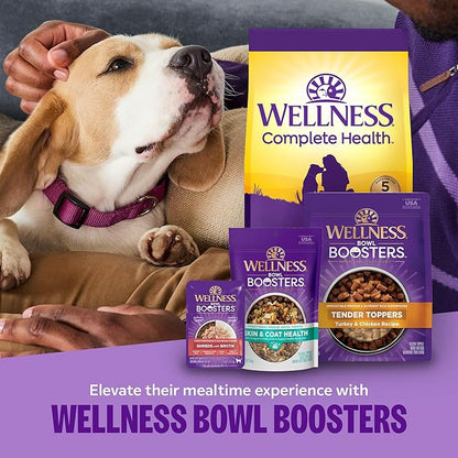 Wellness Complete Health Small Breed Dry Dog Food with Grains, Natural Ingredients, Made in USA with Real Turkey, For Dogs Up to 25 lbs. (Puppy, Turkey, Salmon & Oatmeal, 4-Pound Bag)