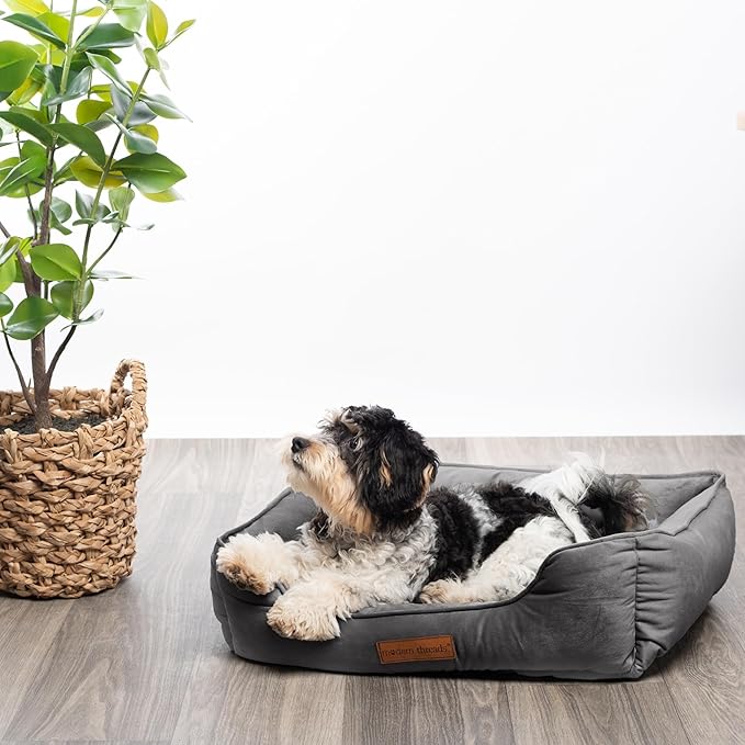 Modern Threads Luxury Dog Bed - Comfortable Tufted Velvet Cushion for Small to Medium Dogs - Machine Washable - Durable & Cute Sleep Space for Pets - Pamper Your Pet with Cozy Beds - Charcoal