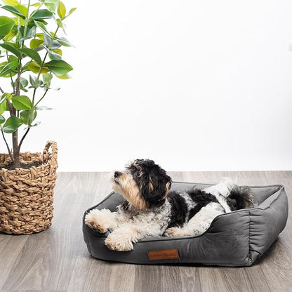 Modern Threads Luxury Dog Bed - Comfortable Tufted Velvet Cushion for Small to Medium Dogs - Machine Washable - Durable & Cute Sleep Space for Pets - Pamper Your Pet with Cozy Beds - Charcoal