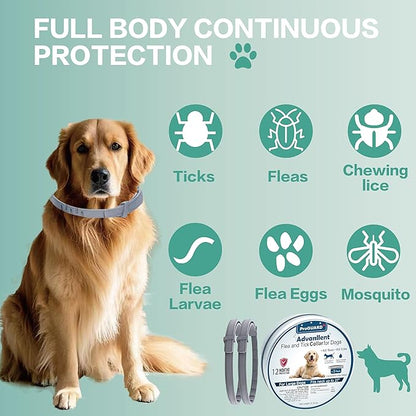 Advanllent Flea Collar for Dogs, Flea and Tick Prevention for Dogs Collar, Dog Flea and Tick Treatment, 2 Collars, 12 Months Prevention, One Size Fits All