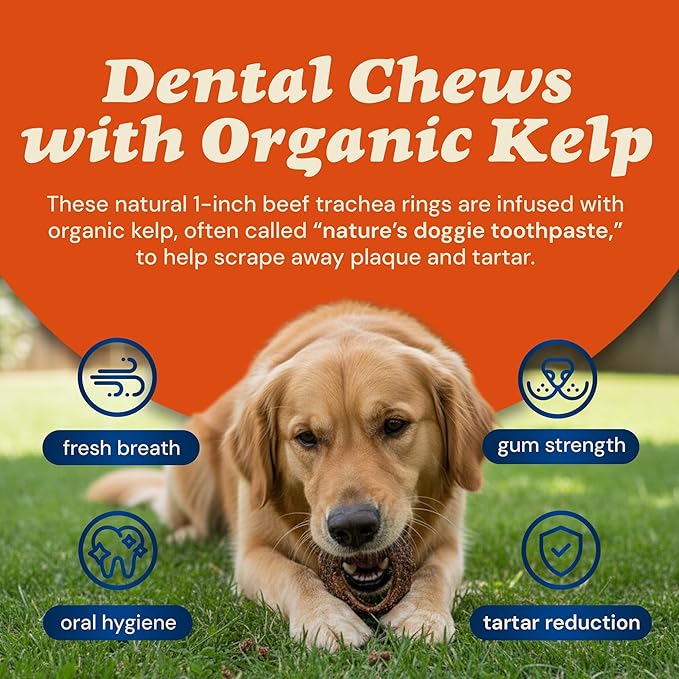 CLEAR CONSCIENCE PET Kelpy™ Ringz™ 1-Inch Beef Trachea Rings with Organic Kelp for Small Dogs, Natural Dental Chew Treats, Rawhide-Free, Highly Digestible, Puppy Snacks, Made in USA, 12 oz