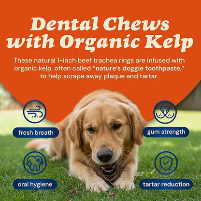 CLEAR CONSCIENCE PET Kelpy™ Ringz™ 1-Inch Beef Trachea Rings with Organic Kelp for Small Dogs, Natural Dental Chew Treats, Rawhide-Free, Highly Digestible, Puppy Snacks, Made in USA, 12 oz