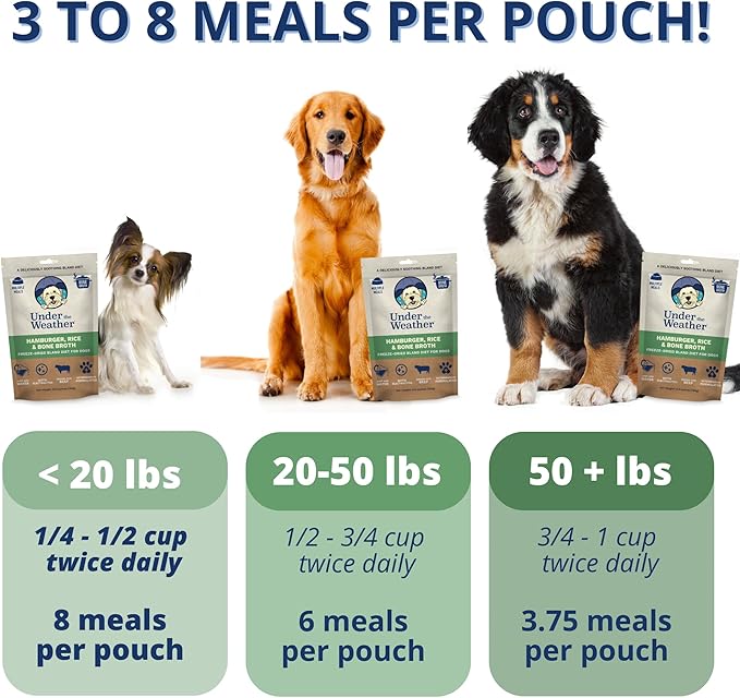 Under the Weather Easy to Digest Bland Dog Food Diet for Sick Dogs | Contains Electrolytes | Gluten Free, Freeze Dried 100% Human Grade Meats | 6 Pack - Rice, Hamburger & Bone Broth