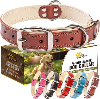 ADITYNA Heavy-Duty Leather Dog Collar for Large Dogs - Soft Padded for Comfort - Large Dog Collar for Walking, Training, and Hiking