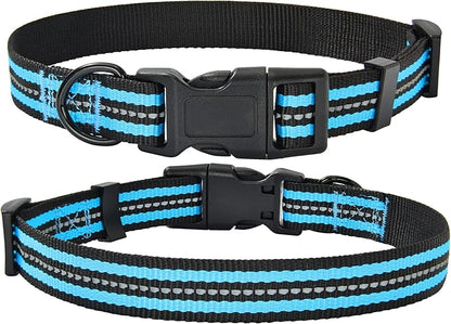 Mile High Life Reflective Dog Collar | Nylon Pet Collars wiith Buckle | Light Weight Puppy Collars | Light Blue Dog Collars for Small Dogs (Light Blue, S)