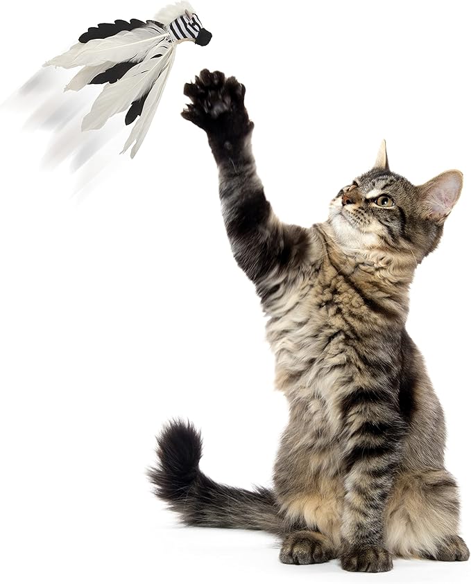 Instincts by SmartyKat HappyNip Zingy Zebra Feathered Toss & Chase Interactive Cat Toy, Contains Catnip & Silvervine - White/Black, One Size