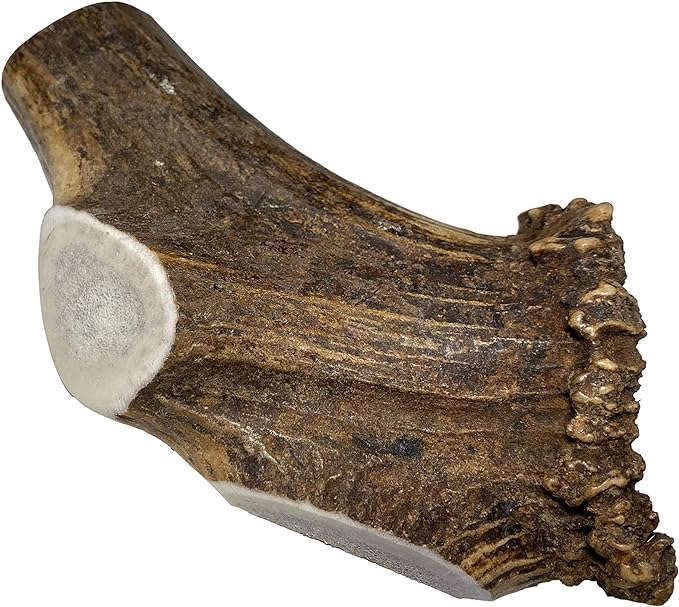 Elkhorn Premium Chews - Giant Split Single Pack (for 75+ lb Dogs) Premium Grade Elk Antler for Dogs (1 Piece) Sourced in The USA