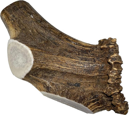 Elkhorn Premium Chews - Giant Split Single Pack (for 75+ lb Dogs) Premium Grade Elk Antler for Dogs (1 Piece) Sourced in The USA