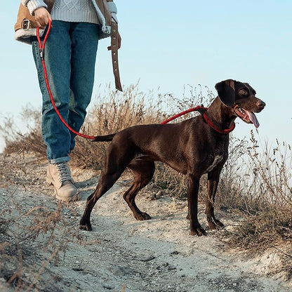 TwoEar 6FT Slip Lead Dog Leash, Heavy Duty Slip Leash for Dogs with Highly Reflective, Strong Rope Slip Leads No Pull Pet Training Leashes for Large Medium Dogs (1/2", Red)