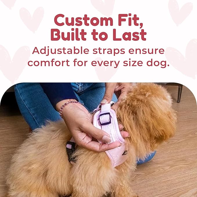 No-Pull, No-Choke Dog Harness & Leash Set – Stylish & Fun – Lightweight, Breathable Neoprene – Unique Heart Pattern – Adjustable for Extra Small Dogs (Harness Leash Set-Pink, X-Small)