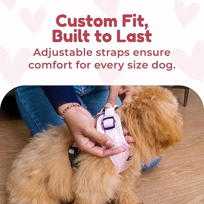 No-Pull, No-Choke Dog Harness & Leash Set – Stylish & Fun – Lightweight, Breathable Neoprene – Unique Heart Pattern – Adjustable for Medium Dogs (Harness Leash Set-Pink, M-Medium)