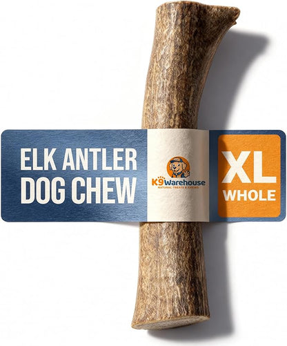 K9warehouse Natural Elk Antlers for Dogs - Premium Grade Dog Antler Chews - Long-Lasting Whole Deer Antles Ideal for Aggressive Chewers - Safe USA Sourced Chew for Medium and Large Dogs - 1 Pack