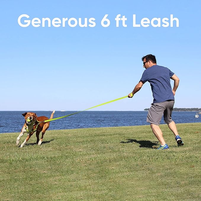Pawtitas Green Dog Leash 6 ft M/L Reflective Durable Lightweight Dog Lead for Medium or Large Dogs and Puppies