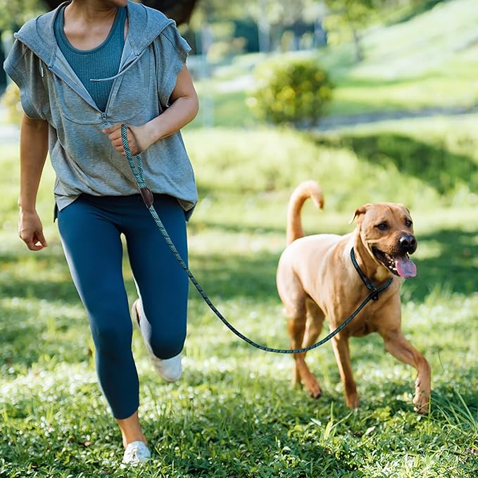 TwoEar 6FT Slip Lead Dog Leash, Heavy Duty Slip Leash for Dogs with Highly Reflective, Strong Rope Slip Leads No Pull Pet Training Leashes for Large Medium Dogs (1/2", Blue)