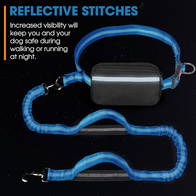 Hands Free Dog Leash with Waist Belt – No-Pull Bungee, Dual Padded Handles & Zipper Pouch for Running, Walking & Training – Adjustable Waist Leash for Large & Medium Dogs (Sky Blue)