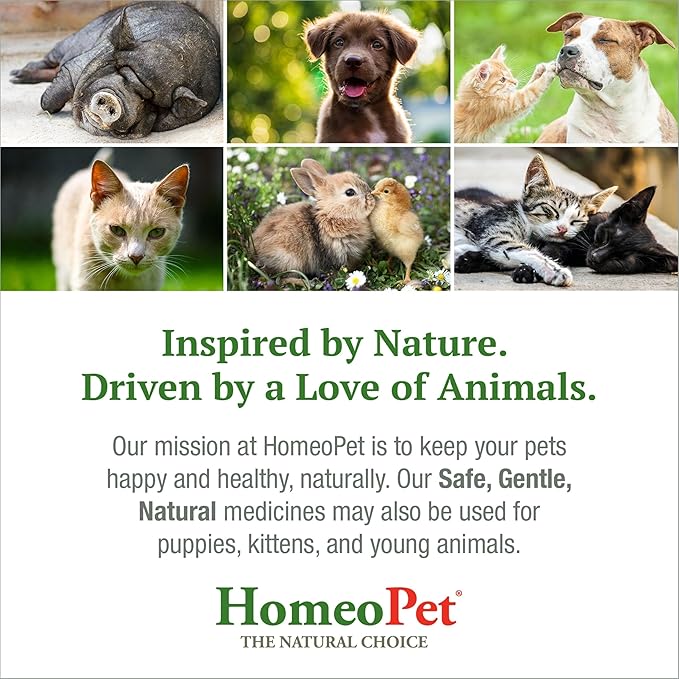 HomeoPet Feline UTI+, Safe and Natural Urinary Tract Supplement for Cats, Feline Urinary Tract Support, 15 Milliliters
