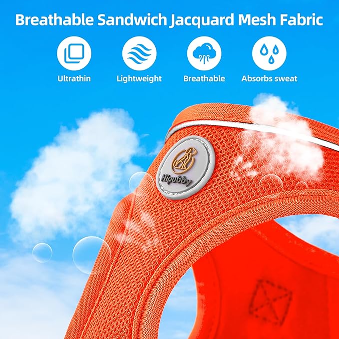 Hipubby Dog Harness and Leash Set, No Pull Soft Mesh Puppy Harness for Small Medium Dogs, Cats - Step in Reflective Breathable Lightweight Vest Harness for Walking, Training - Orange, L