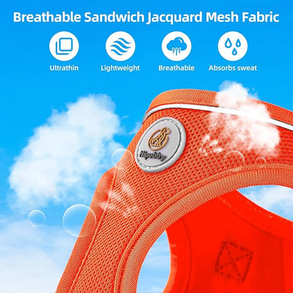 Hipubby Dog Harness and Leash Set, No Pull Soft Mesh Puppy Harness for Small Medium Dogs, Cats - Step in Reflective Breathable Lightweight Vest Harness for Walking, Training - Orange, M