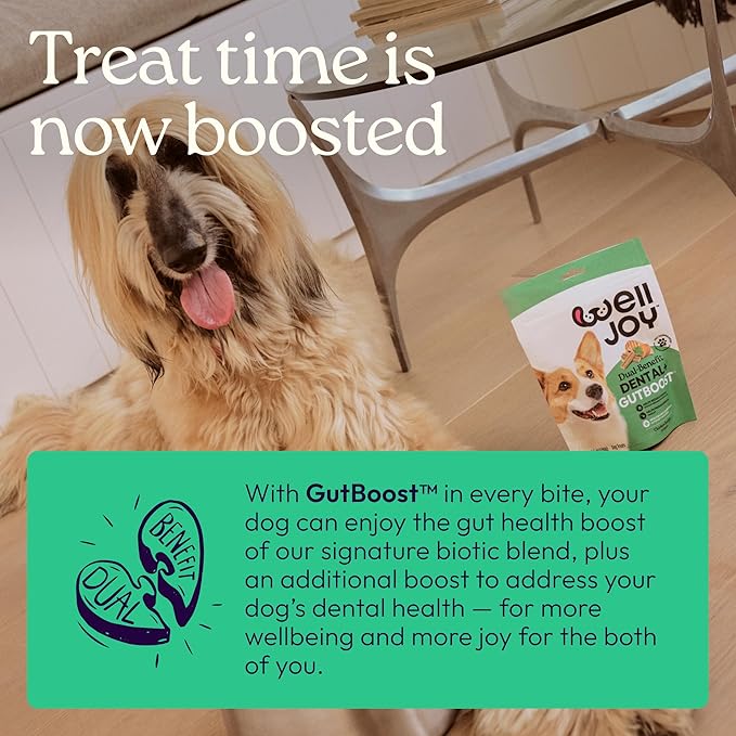 New! WellJoy Dog Treat Dental+ GutBoost | Helps Reduce Tartar | Freshens Breath | Dual-Benefit GutBoost Formulation | Vet Formulated | Made in USA | Made with Real Shredded Chicken | 24 Sticks