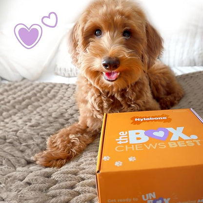 Nylabone Dog Gift Box, Includes 3 Strong Chew Toys and 1 Natural Treat, Gifts for Dogs, Small - Up to 25 lbs, 4 Pack