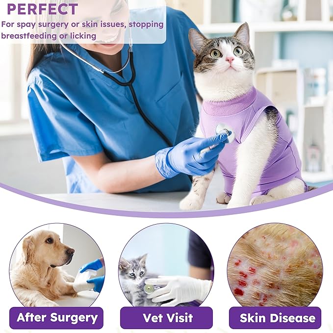 Hpetppy Cat Recovery Suit for Abdominal Wounds or Skin Diseases,Kitten Onesie for Cats After Surgery Wear Surgical Spay Suit for Female Cats Kitten Cone of Shame Alternative-Purple(S)