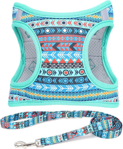 Moonpet Step in Boy Dog Harness Leash Set- All Weather Reflective No-Pull Padded Mesh Vest Harness for Cats Puppy Extra-Small Small Medium Large Dogs - Mayan Mysteries - L