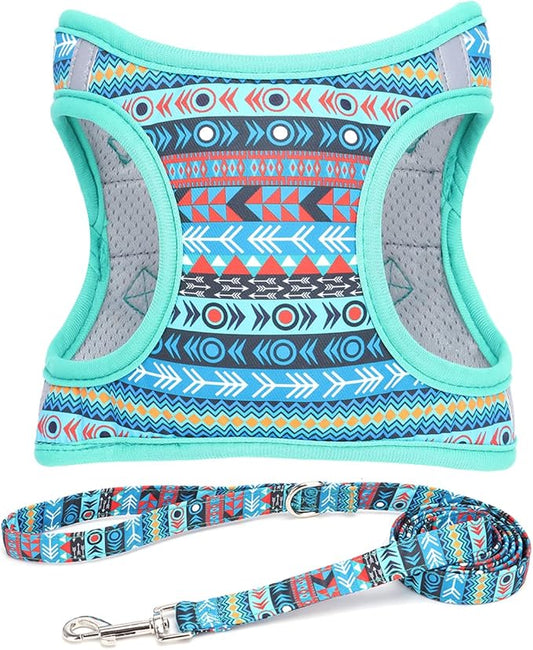 Moonpet Step in Boy Dog Harness Leash Set- All Weather Reflective No-Pull Padded Mesh Vest Harness for Cats Puppy Extra-Small Small Medium Large Dogs - Mayan Mysteries - L