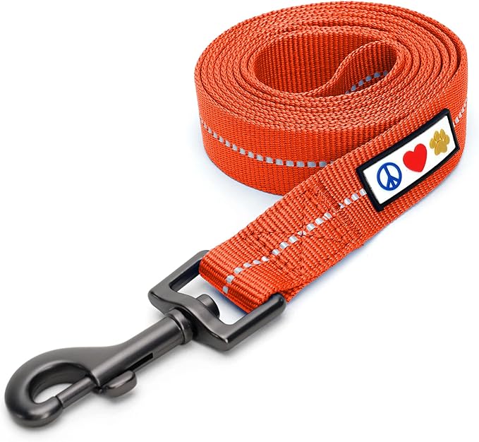 Pawtitas Orange Dog Leash 6 ft XS/S Reflective Durable Lightweight Recycled Lead for Small Dogs and Puppies