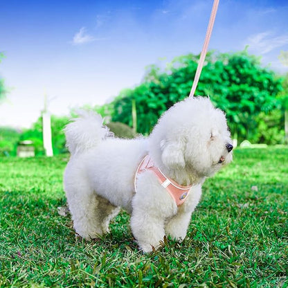 Hipubby Dog Harness and Leash Set, No Pull Soft Mesh Puppy Harness for Small Medium Dogs, Cats - Step in Reflective Breathable Lightweight Vest Harness for Walking, Training - Pink, S