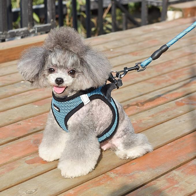 matilor Dog Harness Step-in Breathable Puppy Cat Dog Vest Harnesses for Small Medium Dogs Blue