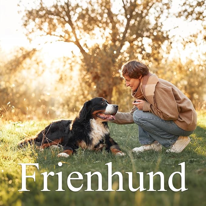 Frienhund 6 Pack Indestructible Dog Toys for Aggressive Chewers, Durable Nylon Bone for Large Dogs, Dog Toy for Aggressive Chewer Large Breed, A Mixed Special Edition Set