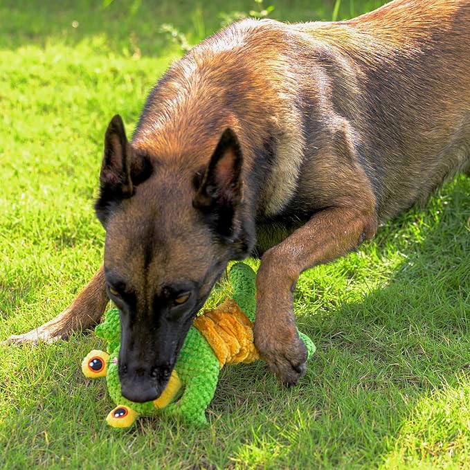 Sedioso Dog Tug Toy, Durable Dog Toys Large Breed, Tug of War Dog Squeaky Toy, Stuffed Plush Dog Toys with Crinkle Paper for Small, Middle, and Big Dogs(Tug of War Series, Frog)